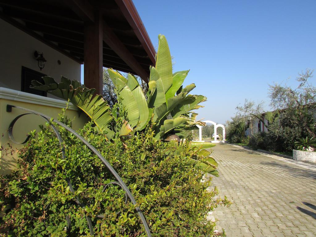 Villa Terra Nostra Vieste Extérieur photo